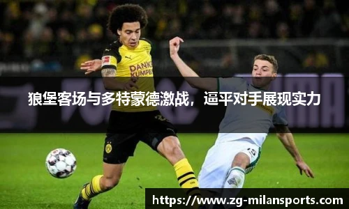 米兰体育官方网站入口